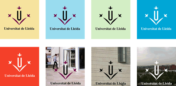 colormarca6